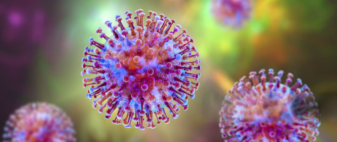 Shocking Hantavirus Survivor